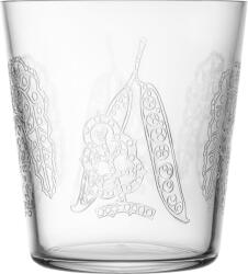 Iittala Pahare Taika Sato 380 ml, 2 buc (1070295) Pahar
