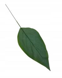 Wera Zöld levél 42 cm (KDGL330)