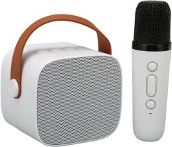 AC Mini Karaoke Machine vezeték nélküli mikrofonokkal, hangmodulációval (AX231)