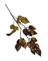 Wera Dekorációs gally 50 cm sötétbarna (KP-EVE9081)