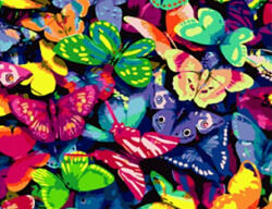 Phoenix Festmény Számokkal Kerettel Festmény Pillangó 40x50 Vászonkép (5904165621870)