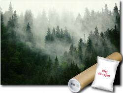 WallMagic Fotótapéta Flizelina Erdő Fák Hegyek Köd Kilátás 100x75 ragasztó ingyen (13026VX2)