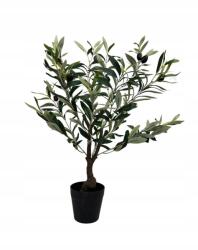 Wera Műolajfa cserépben 58 cm (TREE3)