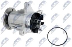 NTY Pompă de apă, răcire motor NTY CPW-LR-005 (CPW-LR-005)