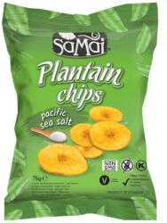 PaleoCentrum Kft Plantain (főzőbanán) chips tengeri sós 75g SAMAI