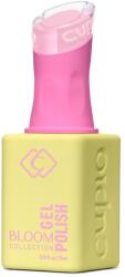 Cupio Oja semipermanenta Bloom - Tender Peony 15ml (D1584)