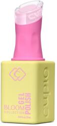 Cupio Oja semipermanenta Bloom - Cherry Blossom 15ml (D1572)