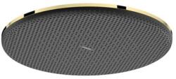 Hansgrohe Fejzuhany Hansgrohe Raindance Alive S a mennyezeten vagy a falon fényezett arany megjelenés 24523990 (24523990)