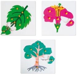 Nowa Szkola Puzzle din lemn Nowa Szkola - Plante botanice (6611120372) Puzzle
