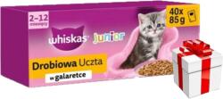 Whiskas WHISKAS Junior Poultry Feast in Jelly - nedves macskaeledel - 40x85 g + Ingyenes Meglepetés Macskának