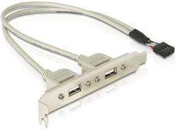 Delock Hátlapi kivezetés > 2x USB 2.0 Type-A (71000)