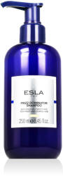 ESLA Italy Frizz Dominator Shampoo 250 ml - vince