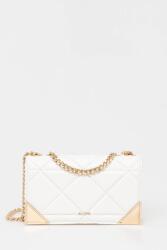 Aldo kézitáska ALBULASEE - fehér Univerzális méret