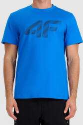 4F Tshirt Harry (4fwmm00ttshm3342-33s)
