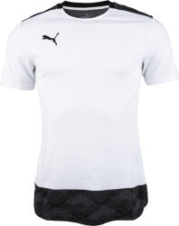 PUMA Team Final 21 Casuals Tee (65648904)