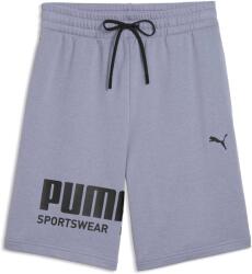 PUMA Sport Graphic Shorts Tr (69223265)