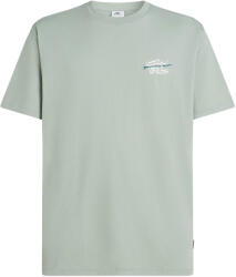 O'Neill Retro Back Print (2850352-16061)