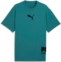 PUMA Sport Relaxed Graphic Tee (69216941)