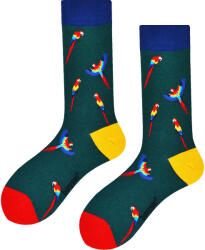 Benysøn Zokni Benysøn magas Papagájok (BENY-080) L