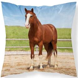 Detexpol Párnahuzat Ló a karámban mikro (DL-447065)