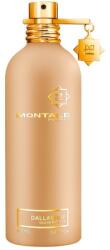 Montale Dallachaï Parfüm víz unisex Tester EDP 100 ml