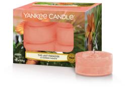 Yankee Candle illatgyertya The Last Paradise Teamécses