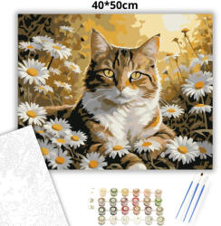  Aranyló cirmos pihenője - számfestő készlet