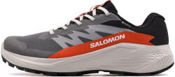 Salomon Alphaglide Gore-Tex (26725)