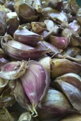  fokhagyma lengyel Harnasz gerezdek 1 kg szüret 2025 (123)