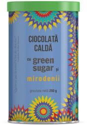 Laboratoarele Remedia Ciocolata calda cu green sugar si mirodenii, 250g, Laboratoarele Remedia