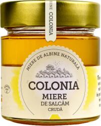 Colonia Miere de salcam cruda, 270g, Colonia