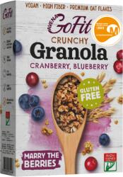 Avena GoFit Granola cu afine si merisoare fara gluten, 250g, Avena GoFit