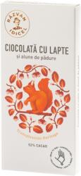 Razvan Idicel Ciocolata 54% cacao cu lapte si alune de padure, 80g, Razvan Idicel