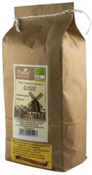 Pronat Faina integrala de Alac Monococcum Triticum Bio, 1kg, Pronat