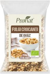 Pronat Fulgi crocanti din ovaz Bio, 250g, Pronat
