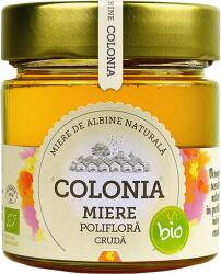 Colonia Miere poliflora cruda Bio, 270g, Colonia