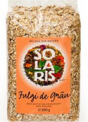 Solaris Fulgi de grau, 500g, Solaris
