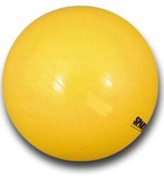 Spartan Sport Gimnasztikai labda edzéshez Spartan 45 cm (SPARTAN SPORT POWER GYM ART54)