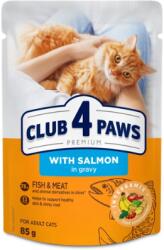 CLUB 4 PAWS Premium with Salmon in Gravy, Lazac szószban nedves macskaeledel 85 g. Minimum rendelés: 24 db!