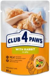 CLUB 4 PAWS Premium with Rabbit in Jelly, Nyúl zselében nedves macskaeledel, 85 g. Minimum rendelés: 24 db !