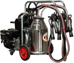Melasty Aparat de muls vaci Melasty galvanizat, motor pe benzina, 2 posturi si bidon inox 40 L (EMTDK2-PK GE S40)