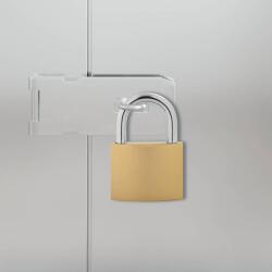 vidaXL U Lock с ключове 2 бр. Месинг Желязо (42021942)