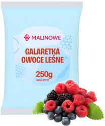 MALINOWE Gyümölcskocsonya Erdei Gyümölcs Por 250g Kék Természetes Prémium Minőség (5904576306427)