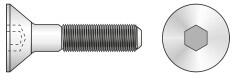 Schaefer-Peters Surub Cap Inecat Locas Inbus 7991 Inox A2-M10 X 25 (799121025S)