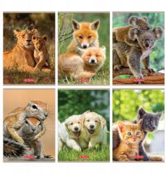Herlitz 16K A5 Kockás Animals Herlitz Füzet (9583048)