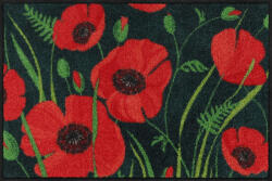 Salonloewe Poppys of Maivi 50x75 cm szennyfogó lábtörlő