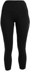 Icebreaker 260 Fastray II 25 High Rise Tights Black Női leggings S