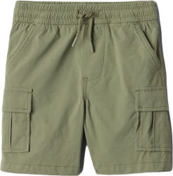 GAP V-hybrid cargo 2y