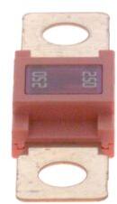 Bosch siguranta fuzibila BOSCH 1 987 531 006 (1 987 531 006) - centralcar