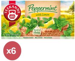 TEEKANNE Borsmenta tea citrommal csomag - naturreform